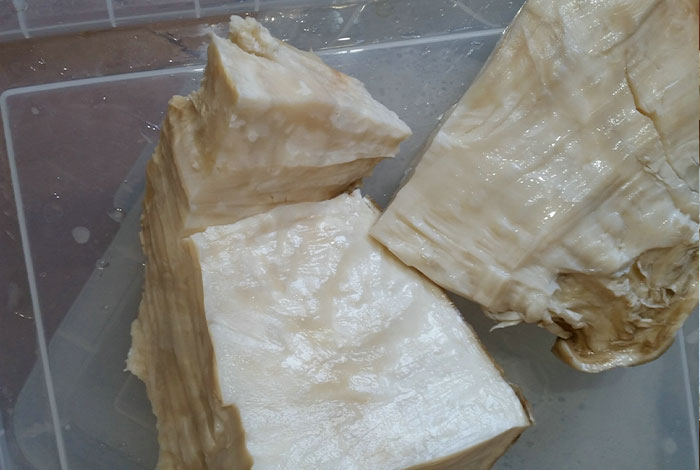 怎么鑒定野生太歲肉靈芝真假-權威篇