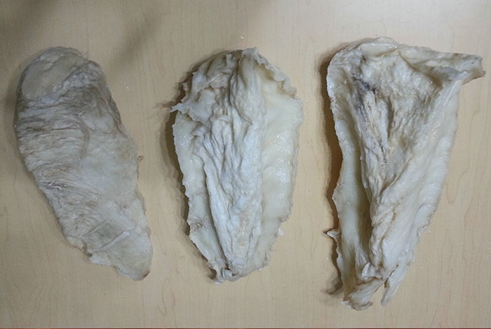 野生太歲靈芝肉在哪里能發現