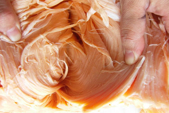 靈芝肉什么價錢？以品質定價格